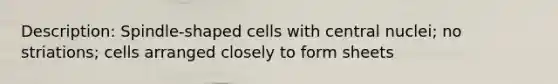 Description: Spindle-shaped cells with central nuclei; no striations; cells arranged closely to form sheets