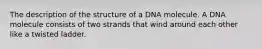 The description of the structure of a DNA molecule. A DNA molecule consists of two strands that wind around each other like a twisted ladder.