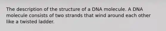 The description of the structure of a DNA molecule. A DNA molecule consists of two strands that wind around each other like a twisted ladder.