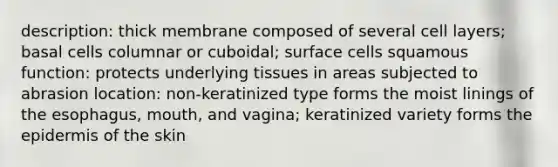 description: thick membrane composed of several cell layers; basal cells columnar or cuboidal; surface cells squamous function: protects underlying tissues in areas subjected to abrasion location: non-keratinized type forms the moist linings of the esophagus, mouth, and vagina; keratinized variety forms the epidermis of the skin