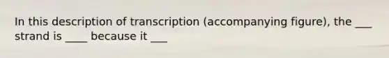 In this description of transcription (accompanying figure), the ___ strand is ____ because it ___