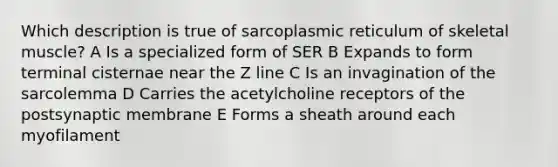 Which description is true of sarcoplasmic reticulum of skeletal muscle? A Is a specialized form of SER B Expands to form terminal cisternae near the Z line C Is an invagination of the sarcolemma D Carries the acetylcholine receptors of the postsynaptic membrane E Forms a sheath around each myofilament