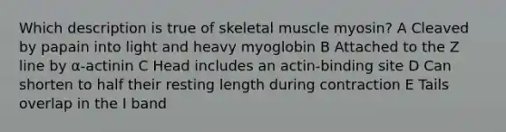 Which description is true of skeletal muscle myosin? A Cleaved by papain into light and heavy myoglobin B Attached to the Z line by α-actinin C Head includes an actin-binding site D Can shorten to half their resting length during contraction E Tails overlap in the I band