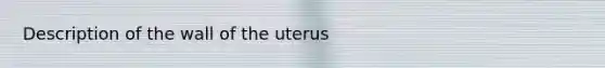 Description of the wall of the uterus