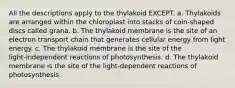 All the descriptions apply to the thylakoid EXCEPT. a. Thylakoids are arranged within the chloroplast into stacks of coin‑shaped discs called grana. b. The thylakoid membrane is the site of an electron transport chain that generates cellular energy from light energy. c. The thylakoid membrane is the site of the light‑independent reactions of photosynthesis. d. The thylakoid membrane is the site of the light‑dependent reactions of photosynthesis.