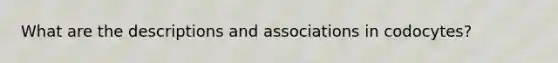 What are the descriptions and associations in codocytes?