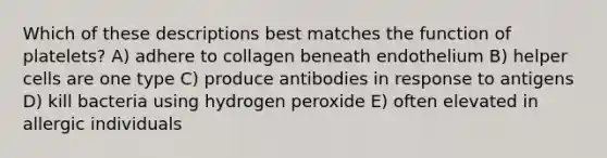 Which of these descriptions best matches the function of platelets? A) adhere to collagen beneath endothelium B) helper cells are one type C) produce antibodies in response to antigens D) kill bacteria using hydrogen peroxide E) often elevated in allergic individuals