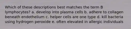 Which of these descriptions best matches the term B lymphocytes? a. develop into plasma cells b. adhere to collagen beneath endothelium c. helper cells are one type d. kill bacteria using hydrogen peroxide e. often elevated in allergic individuals