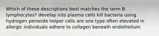 Which of these descriptions best matches the term B lymphocytes? develop into plasma cells kill bacteria using hydrogen peroxide helper cells are one type often elevated in allergic individuals adhere to collagen beneath endothelium