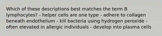 Which of these descriptions best matches the term B lymphocytes? - helper cells are one type - adhere to collagen beneath endothelium - kill bacteria using hydrogen peroxide - often elevated in allergic individuals - develop into plasma cells