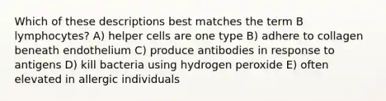 Which of these descriptions best matches the term B lymphocytes? A) helper cells are one type B) adhere to collagen beneath endothelium C) produce antibodies in response to antigens D) kill bacteria using hydrogen peroxide E) often elevated in allergic individuals