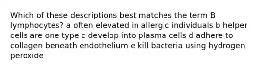 Which of these descriptions best matches the term B lymphocytes? a often elevated in allergic individuals b helper cells are one type c develop into plasma cells d adhere to collagen beneath endothelium e kill bacteria using hydrogen peroxide