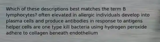 Which of these descriptions best matches the term B lymphocytes? often elevated in allergic individuals develop into plasma cells and produce antibodies in response to antigens helper cells are one type kill bacteria using hydrogen peroxide adhere to collagen beneath endothelium