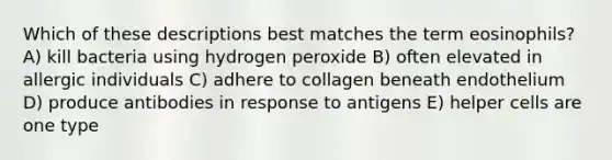 Which of these descriptions best matches the term eosinophils? A) kill bacteria using hydrogen peroxide B) often elevated in allergic individuals C) adhere to collagen beneath endothelium D) produce antibodies in response to antigens E) helper cells are one type