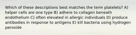 Which of these descriptions best matches the term platelets? A) helper cells are one type B) adhere to collagen beneath endothelium C) often elevated in allergic individuals D) produce antibodies in response to antigens E) kill bacteria using hydrogen peroxide