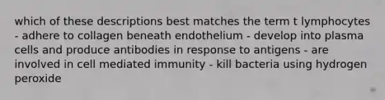 which of these descriptions best matches the term t lymphocytes - adhere to collagen beneath endothelium - develop into plasma cells and produce antibodies in response to antigens - are involved in cell mediated immunity - kill bacteria using hydrogen peroxide