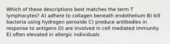 Which of these descriptions best matches the term T lymphocytes? A) adhere to collagen beneath endothelium B) kill bacteria using hydrogen peroxide C) produce antibodies in response to antigens D) are involved in cell mediated immunity E) often elevated in allergic individuals