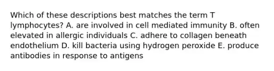 Which of these descriptions best matches the term T lymphocytes? A. are involved in cell mediated immunity B. often elevated in allergic individuals C. adhere to collagen beneath endothelium D. kill bacteria using hydrogen peroxide E. produce antibodies in response to antigens