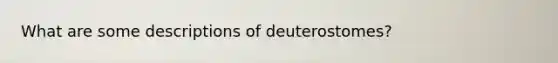 What are some descriptions of deuterostomes?