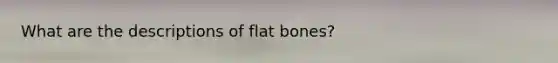 What are the descriptions of flat bones?