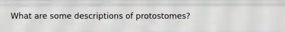 What are some descriptions of protostomes?