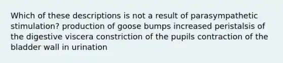 Which of these descriptions is not a result of parasympathetic stimulation? production of goose bumps increased peristalsis of the digestive viscera constriction of the pupils contraction of the bladder wall in urination