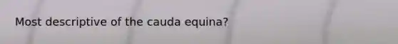 Most descriptive of the cauda equina?