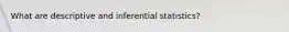 What are descriptive and inferential statistics?