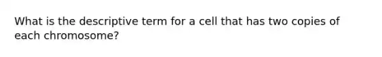 What is the descriptive term for a cell that has two copies of each chromosome?