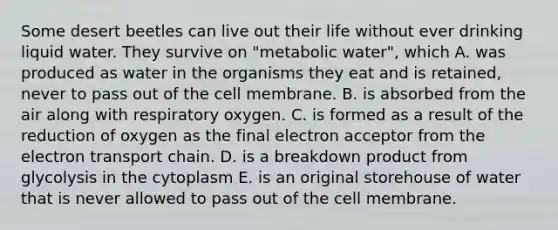 Some desert beetles can live out their life without ever drinking liquid water. They survive on "metabolic water", which A. was produced as water in the organisms they eat and is retained, never to pass out of the cell membrane. B. is absorbed from the air along with respiratory oxygen. C. is formed as a result of the reduction of oxygen as the final electron acceptor from <a href='https://www.questionai.com/knowledge/k57oGBr0HP-the-electron-transport-chain' class='anchor-knowledge'>the electron transport chain</a>. D. is a breakdown product from glycolysis in the cytoplasm E. is an original storehouse of water that is never allowed to pass out of the cell membrane.