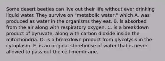 Some desert beetles can live out their life without ever drinking liquid water. They survive on "metabolic water," which A. was produced as water in the organisms they eat. B. is absorbed from the air along with respiratory oxygen. C. is a breakdown product of pyruvate, along with carbon dioxide inside the mitochondria. D. is a breakdown product from glycolysis in the cytoplasm. E. is an original storehouse of water that is never allowed to pass out the cell membrane.