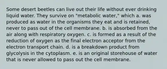 Some desert beetles can live out their life without ever drinking liquid water. They survive on "metabolic water," which a. was produced as water in the organisms they eat and is retained, never to pass out of the cell membrane. b. is absorbed from the air along with respiratory oxygen. c. is formed as a result of the reduction of oxygen as the final electron acceptor from the electron transport chain. d. is a breakdown product from glycolysis in the cytoplasm. e. is an original storehouse of water that is never allowed to pass out the cell membrane.