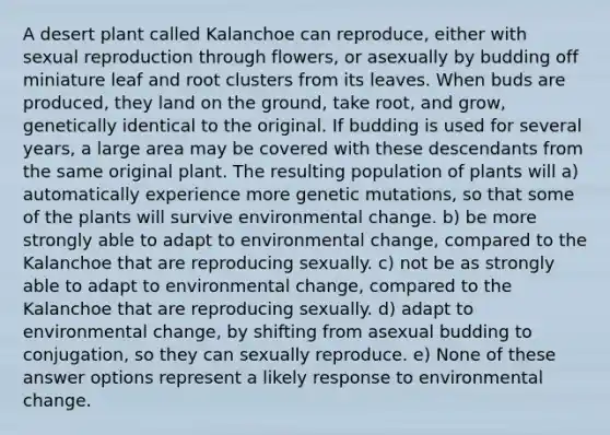 A desert plant called Kalanchoe can reproduce, either with sexual reproduction through flowers, or asexually by budding off miniature leaf and root clusters from its leaves. When buds are produced, they land on the ground, take root, and grow, genetically identical to the original. If budding is used for several years, a large area may be covered with these descendants from the same original plant. The resulting population of plants will a) automatically experience more genetic mutations, so that some of the plants will survive environmental change. b) be more strongly able to adapt to environmental change, compared to the Kalanchoe that are reproducing sexually. c) not be as strongly able to adapt to environmental change, compared to the Kalanchoe that are reproducing sexually. d) adapt to environmental change, by shifting from asexual budding to conjugation, so they can sexually reproduce. e) None of these answer options represent a likely response to environmental change.