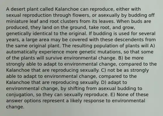 A desert plant called Kalanchoe can reproduce, either with sexual reproduction through flowers, or asexually by budding off miniature leaf and root clusters from its leaves. When buds are produced, they land on the ground, take root, and grow, genetically identical to the original. If budding is used for several years, a large area may be covered with these descendents from the same original plant. The resulting population of plants will A) automatically experience more genetic mutations, so that some of the plants will survive environmental change. B) be more strongly able to adapt to environmental change, compared to the Kalanchoe that are reproducing sexually. C) not be as strongly able to adapt to environmental change, compared to the Kalanchoe that are reproducing sexually. D) adapt to environmental change, by shifting from asexual budding to conjugation, so they can sexually reproduce. E) None of these answer options represent a likely response to environmental change.