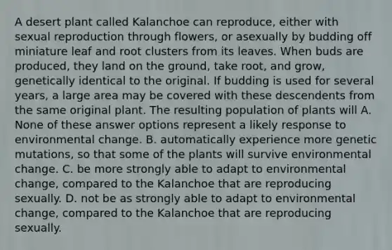 A desert plant called Kalanchoe can reproduce, either with sexual reproduction through flowers, or asexually by budding off miniature leaf and root clusters from its leaves. When buds are produced, they land on the ground, take root, and grow, genetically identical to the original. If budding is used for several years, a large area may be covered with these descendents from the same original plant. The resulting population of plants will A. None of these answer options represent a likely response to environmental change. B. automatically experience more genetic mutations, so that some of the plants will survive environmental change. C. be more strongly able to adapt to environmental change, compared to the Kalanchoe that are reproducing sexually. D. not be as strongly able to adapt to environmental change, compared to the Kalanchoe that are reproducing sexually.