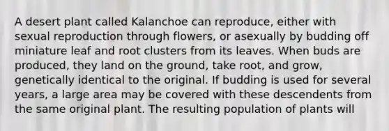 A desert plant called Kalanchoe can reproduce, either with sexual reproduction through flowers, or asexually by budding off miniature leaf and root clusters from its leaves. When buds are produced, they land on the ground, take root, and grow, genetically identical to the original. If budding is used for several years, a large area may be covered with these descendents from the same original plant. The resulting population of plants will