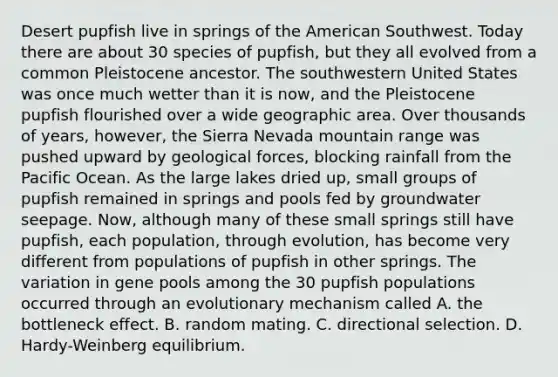 Desert pupfish live in springs of the American Southwest. Today there are about 30 species of pupfish, but they all evolved from a common Pleistocene ancestor. The southwestern United States was once much wetter than it is now, and the Pleistocene pupfish flourished over a wide geographic area. Over thousands of years, however, the Sierra Nevada mountain range was pushed upward by geological forces, blocking rainfall from the Pacific Ocean. As the large lakes dried up, small groups of pupfish remained in springs and pools fed by groundwater seepage. Now, although many of these small springs still have pupfish, each population, through evolution, has become very different from populations of pupfish in other springs. The variation in gene pools among the 30 pupfish populations occurred through an evolutionary mechanism called A. the bottleneck effect. B. random mating. C. directional selection. D. Hardy-Weinberg equilibrium.