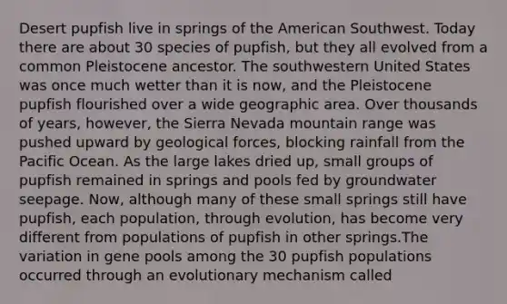 Desert pupfish live in springs of the American Southwest. Today there are about 30 species of pupfish, but they all evolved from a common Pleistocene ancestor. The southwestern United States was once much wetter than it is now, and the Pleistocene pupfish flourished over a wide geographic area. Over thousands of years, however, the Sierra Nevada mountain range was pushed upward by geological forces, blocking rainfall from the Pacific Ocean. As the large lakes dried up, small groups of pupfish remained in springs and pools fed by groundwater seepage. Now, although many of these small springs still have pupfish, each population, through evolution, has become very different from populations of pupfish in other springs.The variation in gene pools among the 30 pupfish populations occurred through an evolutionary mechanism called