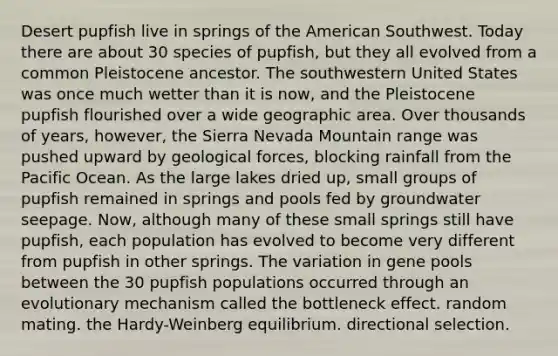 Desert pupfish live in springs of the American Southwest. Today there are about 30 species of pupfish, but they all evolved from a common Pleistocene ancestor. The southwestern United States was once much wetter than it is now, and the Pleistocene pupfish flourished over a wide geographic area. Over thousands of years, however, the Sierra Nevada Mountain range was pushed upward by geological forces, blocking rainfall from the Pacific Ocean. As the large lakes dried up, small groups of pupfish remained in springs and pools fed by groundwater seepage. Now, although many of these small springs still have pupfish, each population has evolved to become very different from pupfish in other springs. The variation in gene pools between the 30 pupfish populations occurred through an evolutionary mechanism called the bottleneck effect. random mating. the Hardy-Weinberg equilibrium. directional selection.