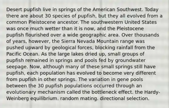 Desert pupfish live in springs of the American Southwest. Today there are about 30 species of pupfish, but they all evolved from a common Pleistocene ancestor. The southwestern United States was once much wetter than it is now, and the Pleistocene pupfish flourished over a wide geographic area. Over thousands of years, however, the Sierra Nevada Mountain range was pushed upward by geological forces, blocking rainfall from the Pacific Ocean. As the large lakes dried up, small groups of pupfish remained in springs and pools fed by groundwater seepage. Now, although many of these small springs still have pupfish, each population has evolved to become very different from pupfish in other springs. The variation in gene pools between the 30 pupfish populations occurred through an evolutionary mechanism called the bottleneck effect. the Hardy-Weinberg equilibrium. random mating. directional selection.