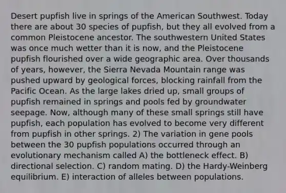 Desert pupfish live in springs of the American Southwest. Today there are about 30 species of pupfish, but they all evolved from a common Pleistocene ancestor. The southwestern United States was once much wetter than it is now, and the Pleistocene pupfish flourished over a wide geographic area. Over thousands of years, however, the Sierra Nevada Mountain range was pushed upward by geological forces, blocking rainfall from the Pacific Ocean. As the large lakes dried up, small groups of pupfish remained in springs and pools fed by groundwater seepage. Now, although many of these small springs still have pupfish, each population has evolved to become very different from pupfish in other springs. 2) The variation in gene pools between the 30 pupfish populations occurred through an evolutionary mechanism called A) the bottleneck effect. B) directional selection. C) random mating. D) the Hardy-Weinberg equilibrium. E) interaction of alleles between populations.