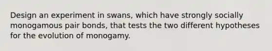 Design an experiment in swans, which have strongly socially monogamous pair bonds, that tests the two different hypotheses for the evolution of monogamy.