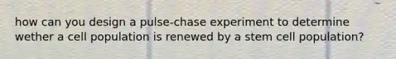 how can you design a pulse-chase experiment to determine wether a cell population is renewed by a stem cell population?