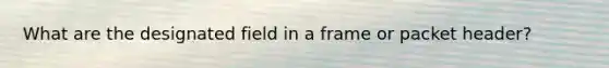 What are the designated field in a frame or packet header?