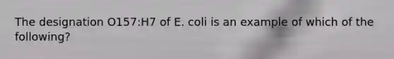 The designation O157:H7 of E. coli is an example of which of the following?