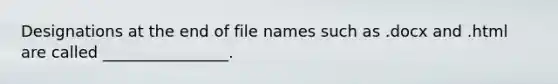 Designations at the end of file names such as .docx and .html are called ________________.