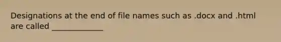 Designations at the end of file names such as .docx and .html are called _____________