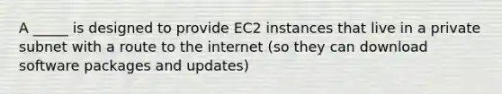 A _____ is designed to provide EC2 instances that live in a private subnet with a route to the internet (so they can download software packages and updates)