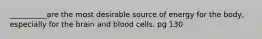 __________are the most desirable source of energy for the body, especially for the brain and blood cells. pg 130