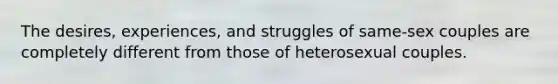 The desires, experiences, and struggles of same-sex couples are completely different from those of heterosexual couples.